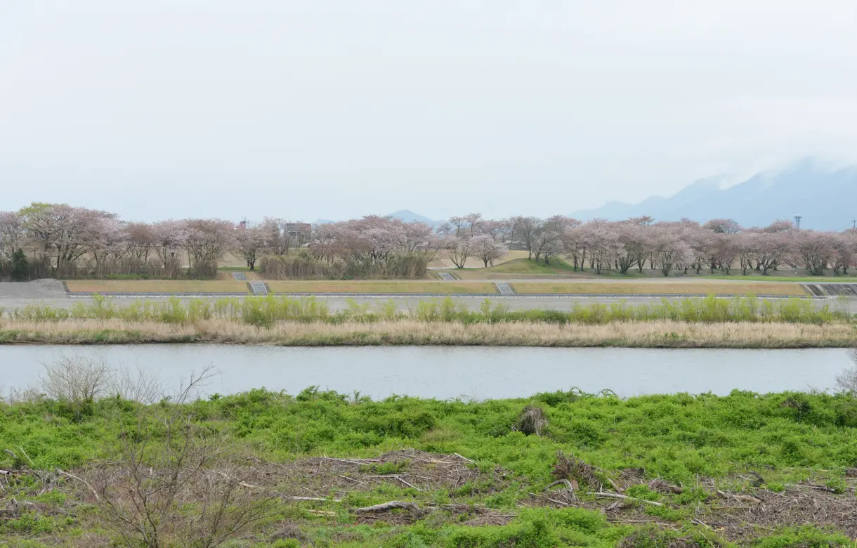 伊勢の風景